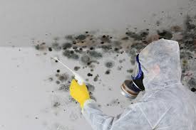 Mold Remediation for Rental Properties in Fountain Valley, CA